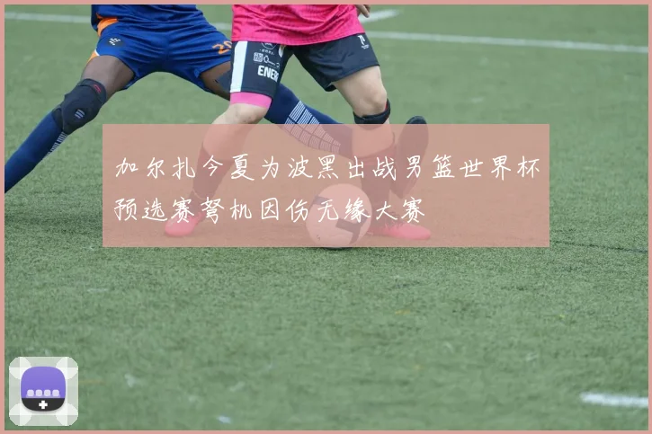 加尔扎今夏为波黑出战男篮世界杯预选赛弩机因伤无缘大赛
